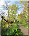 Cycle path on former railway