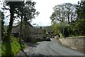 Houses along Spring Lane