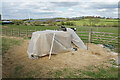 Facilities for horses near Blue Lodge Farm