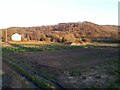 Rhubarb fields, Hough Side