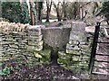 SP0701 : Stone Stile Ivy Church, Ampney St Mary GS9295 by Jayne Tovey