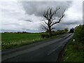 Minor road near Kilmarnock