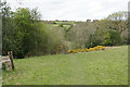 Footpath to Old Brampton