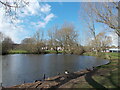 The pond at Theydon Green