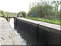 Hunsdon Lock