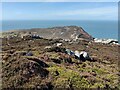 SH2182 : On the summit of Holyhead Mountain by Mat Fascione