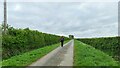 SK8984 : South Lane, near Willingham by Stow by Chris Morgan