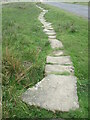 Stone trod near Darnholme