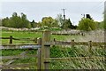 West Stow: Field used for grazing