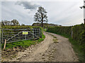 Farm track southwards from Ifield Court Farm