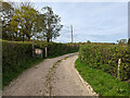 Farm track towards Ifield Court Farm