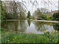 The Duck Pond at Rylstone