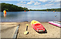 Beach at Horseshoe Lake