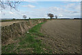 Field boundary at Hollins