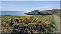 SH2279 : Anglesey Coast Path near Graig Lŵyd by Mat Fascione