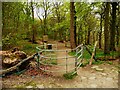 Gate in Bierley Hall Wood, North Bierley