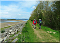 SD4779 : Walkers at Arnside by Mary and Angus Hogg