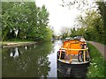 The Grand Union Canal east of Horsenden Lane