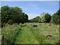 Churchyard conservation area, Langford