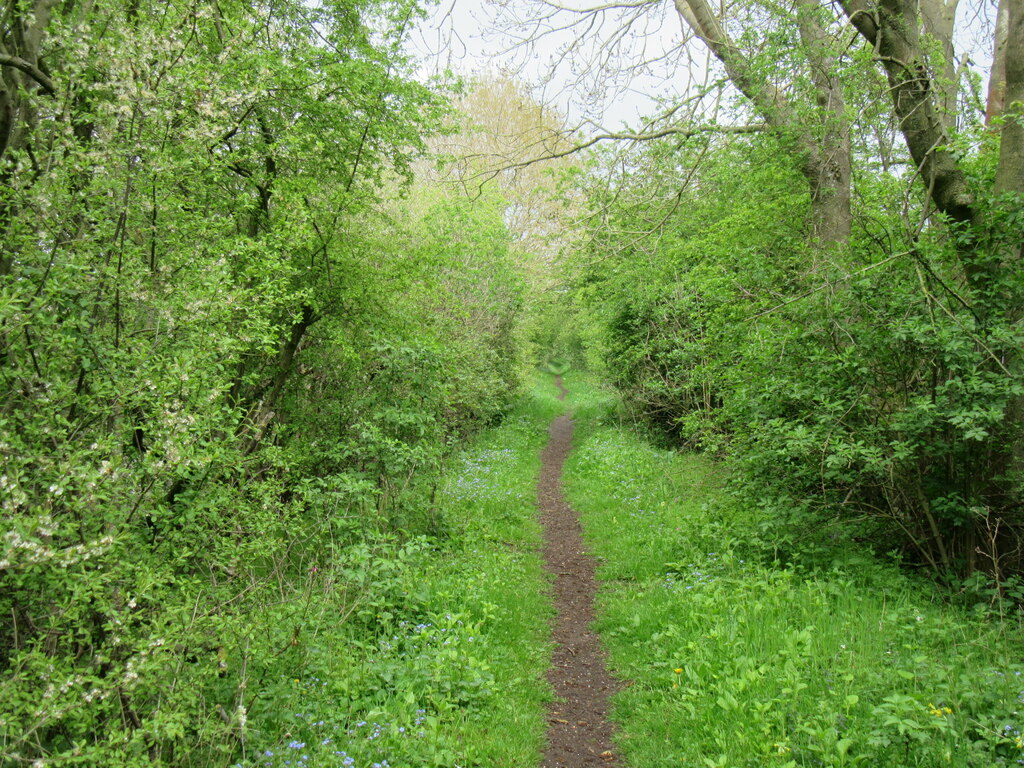 Route Of The Thirsk Malton Railway © T Eyre Cc By Sa20 Geograph