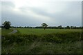 Farmland beside the A19