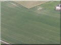 Parallel cropmarks near Cadwell Grange: aerial 2022 (1)