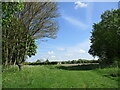 Field entrarce near Bluegates Dairy