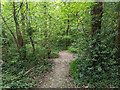 Path, Woldhurstlea Wood, Crawley