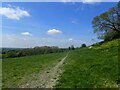 The Greensand Way near Egerton