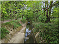 Broadfield Brook looking upstream