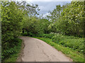 Path around southern end of Ifield Mill Pond