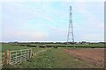 Electricity pylon at East Hungryhill