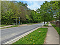 Bewbush Drive at Nevile Close bus stop