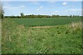 SU1195 : Farmland on the Down Ampney Estate by Philip Halling