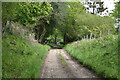 Footpath, Horney Common