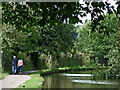 Trent and Mersey Canal in Stoke-on-Trent