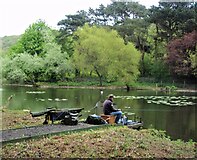 TA0385 : Fishing, The Mere, Scarborough by JThomas