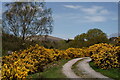 Eskdale Green