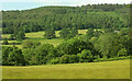 Usk valley at Cyffredyn