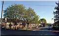 Nunnery Lane seen from Lower Edge Road, Rastrick