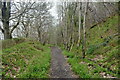 Avoch to Fortrose core path