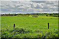 Aghafad Townland