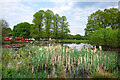 Pond on Yateley Green