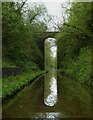 SJ6930 : Shropshire Union Canal - Reflected High Bridge (No.57) by Rob Farrow