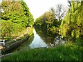 Looking eastwards along the canal from Ganny Lock, Brighouse