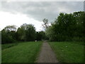 Footpath, Thoroughsale Wood, Corby