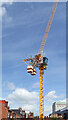 SO9198 : Tower crane by Cleveland Street in Wolverhampton by Roger  Kidd