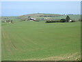 Large field near Fattahead