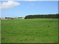 Pastureland near Dogshillock