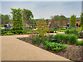 SD7300 : Weston Walled Garden, RHS Bridgewater by David Dixon